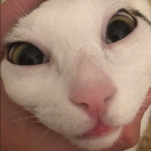 Meet your Posher, Nate